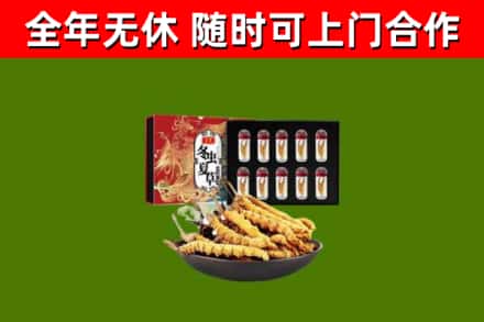 梁河回收冬虫夏草价格